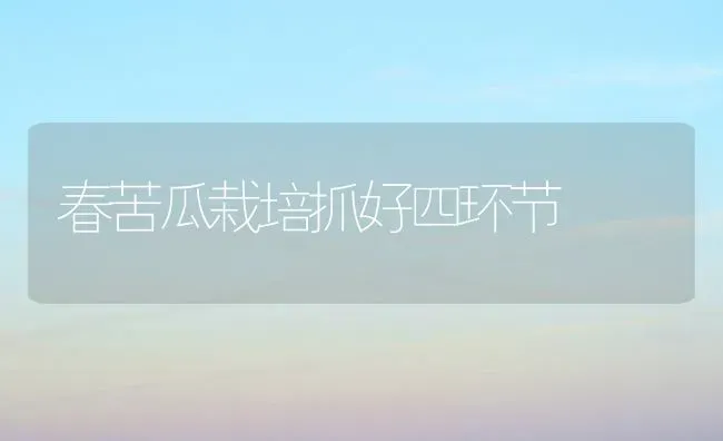 春苦瓜栽培抓好四环节 | 蔬菜种植