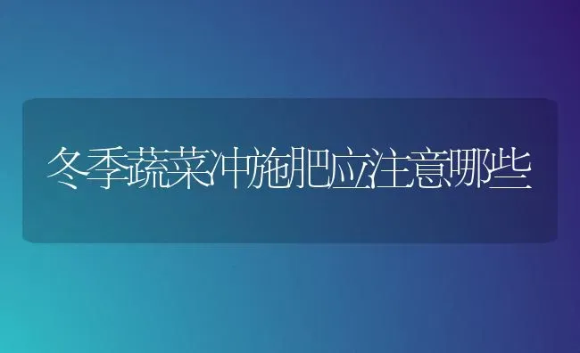 冬季蔬菜冲施肥应注意哪些 | 蔬菜种植