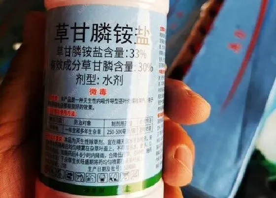 植物价格|今年草甘膦最新价格走势（2022年最新市场价格走势图）