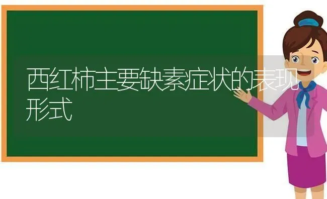 西红柿主要缺素症状的表现形式 | 蔬菜种植