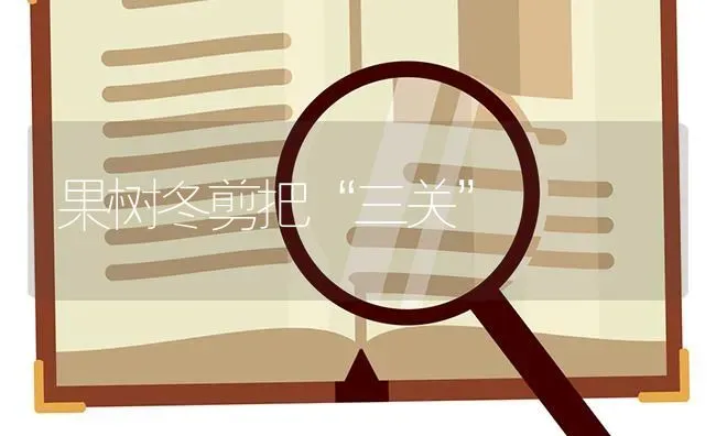 果树冬剪把“三关” | 瓜果种植