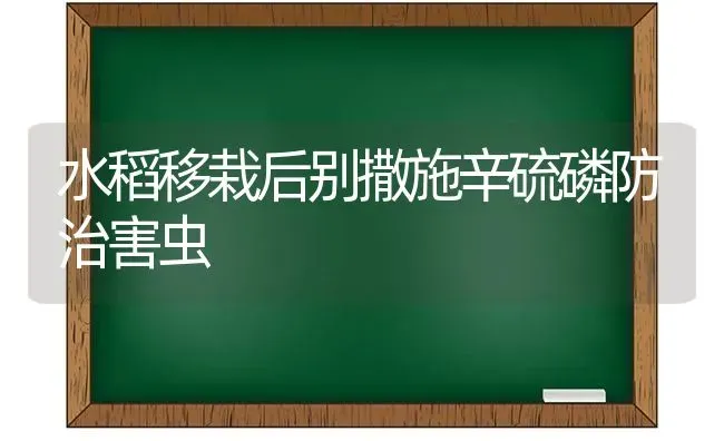 水稻移栽后别撒施辛硫磷防治害虫 | 粮油作物种植