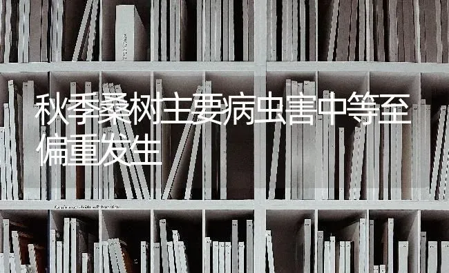 秋季桑树主要病虫害中等至偏重发生 | 种植病虫害防治