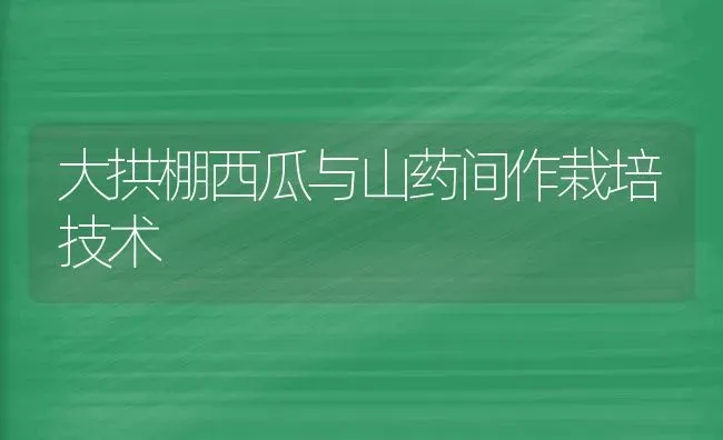 大拱棚西瓜与山药间作栽培技术 | 瓜果种植