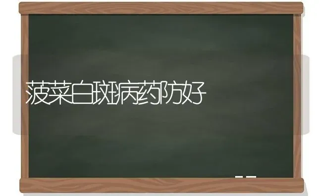 菠菜白斑病药防好 | 蔬菜种植