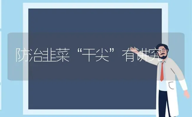 防治韭菜“干尖”有讲究 | 蔬菜种植