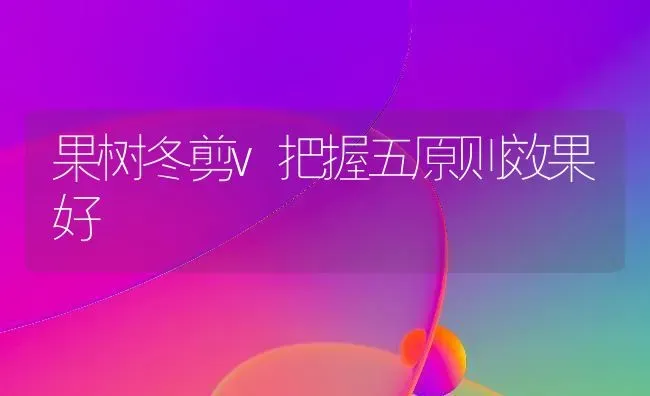 果树冬剪v把握五原则效果好 | 瓜果种植