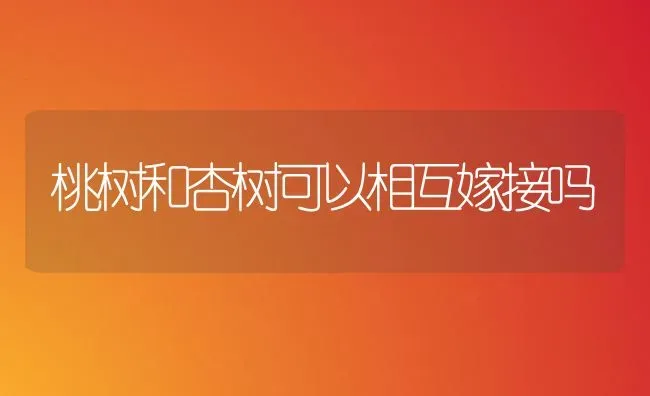 桃树和杏树可以相互嫁接吗 | 瓜果种植