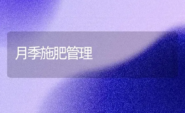 月季施肥管理 | 种植肥料施肥