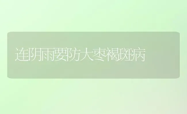 连阴雨要防大枣褐斑病 | 瓜果种植