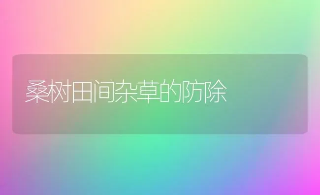 萝卜子治牛气管炎 | 蔬菜种植