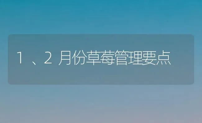 1、2月份草莓管理要点 | 瓜果种植