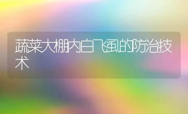 蔬菜大棚内白飞虱的防治技术 | 蔬菜种植