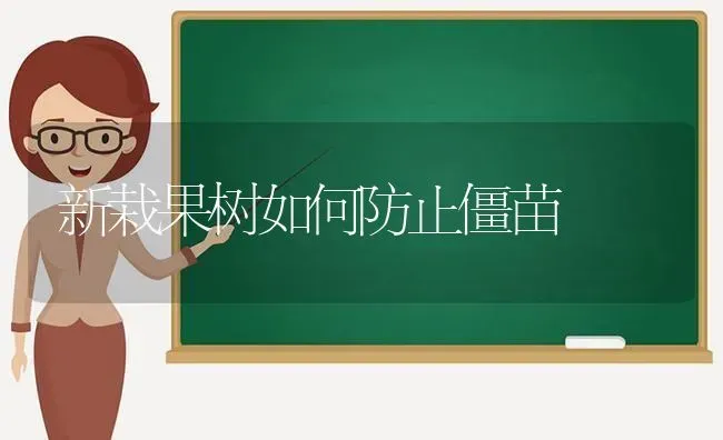 新栽果树如何防止僵苗 | 瓜果种植