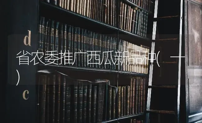 省农委推广西瓜新品种(一) | 瓜果种植