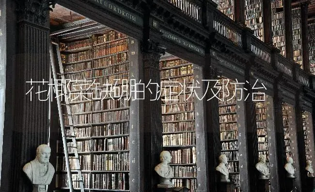 花椰菜缺硼的症状及防治 | 蔬菜种植