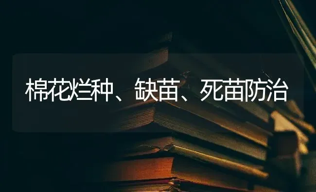 棉花烂种、缺苗、死苗防治 | 粮油作物种植