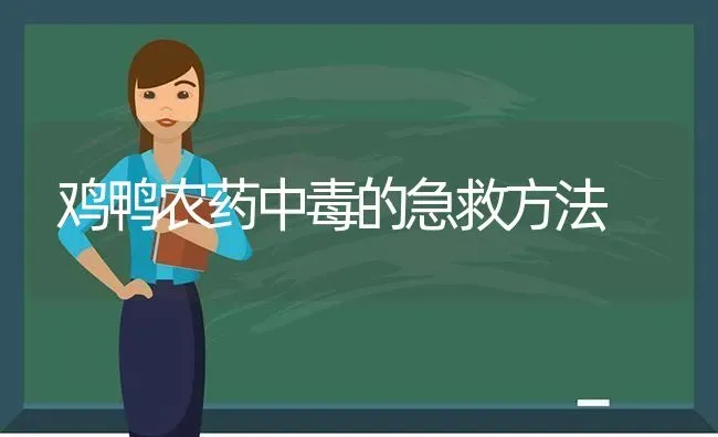 鸡鸭农药中毒的急救方法 | 种植病虫害防治
