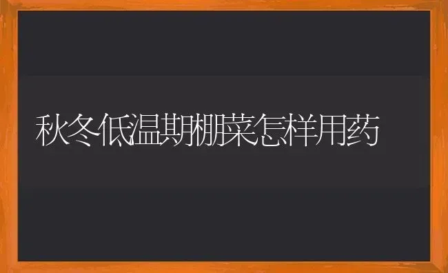 秋冬低温期棚菜怎样用药 | 蔬菜种植