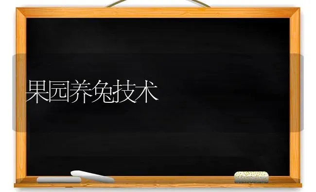 果园养兔技术 | 瓜果种植