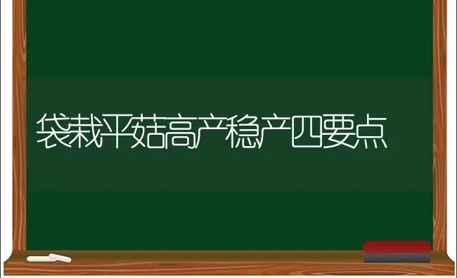 袋栽平菇高产稳产四要点 | 食用菌种植