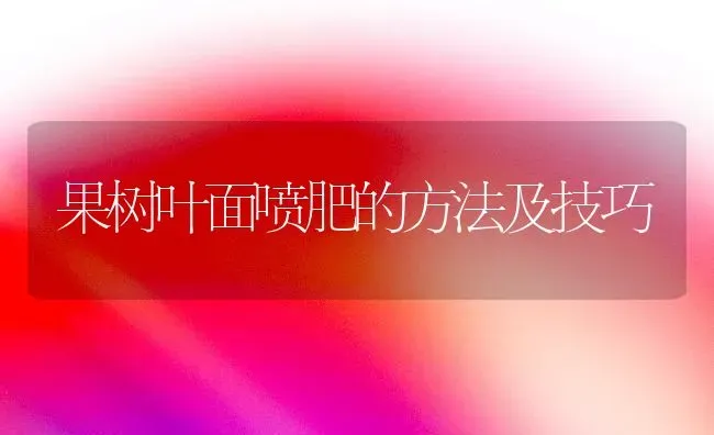 果树叶面喷肥的方法及技巧 | 瓜果种植