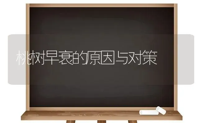 桃树早衰的原因与对策 | 瓜果种植