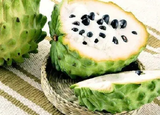 果实科普|释迦果哪个品种最好吃 哪里产的最好吃