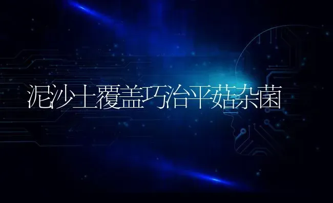 泥沙土覆盖巧治平菇杂菌 | 食用菌种植