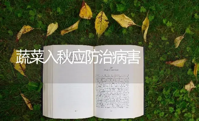 蔬菜入秋应防治病害 | 蔬菜种植
