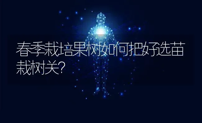 春季栽培果树如何把好选苗栽树关？ | 瓜果种植