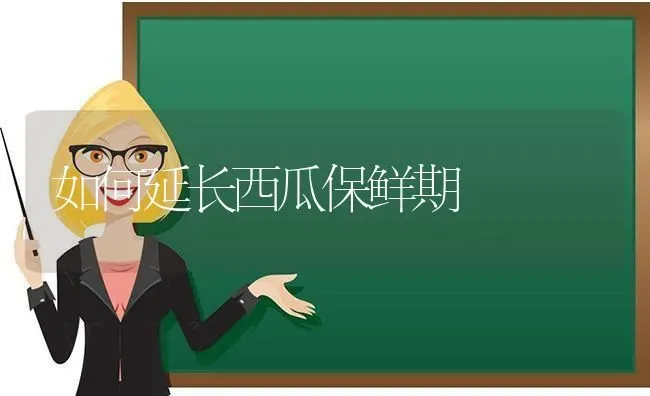 如何延长西瓜保鲜期 | 瓜果种植