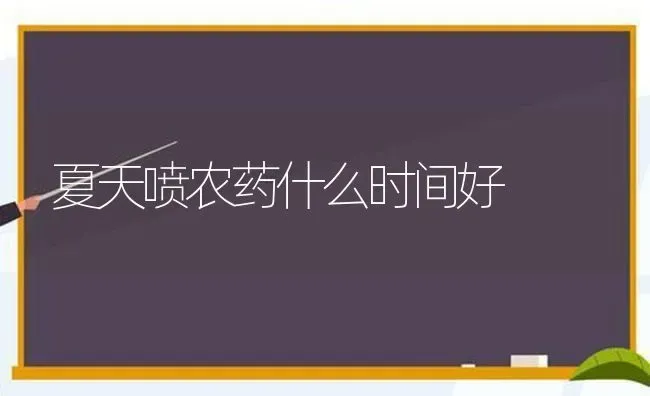 夏天喷农药什么时间好 | 种植病虫害防治