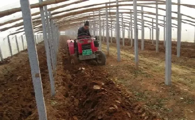 种植管理|为什么种菜前要翻晒土，种菜时翻土松土是湿还是干得好 ）