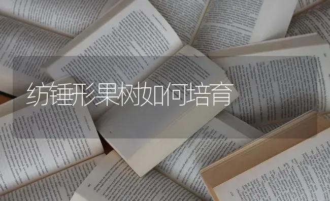 纺锤形果树如何培育 | 瓜果种植