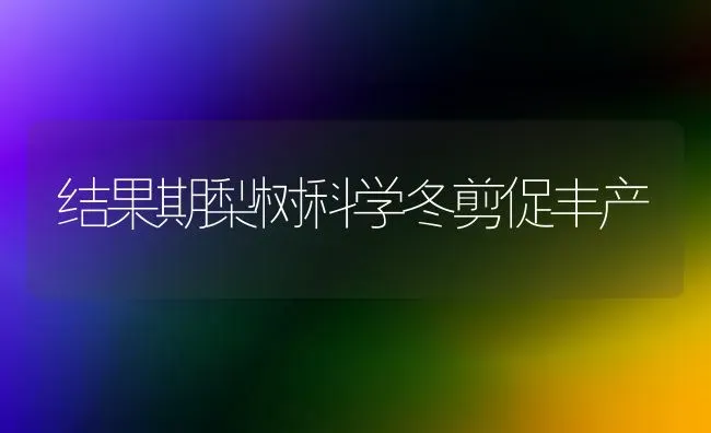 结果期梨树科学冬剪促丰产 | 瓜果种植