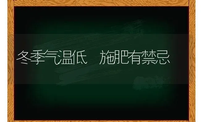 冬季气温低 施肥有禁忌 | 种植肥料施肥