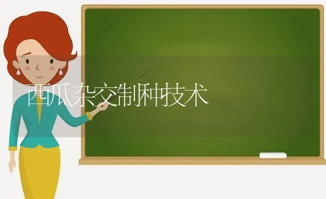 西瓜杂交制种技术 | 瓜果种植