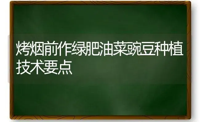 烤烟前作绿肥油菜豌豆种植技术要点 | 粮油作物种植