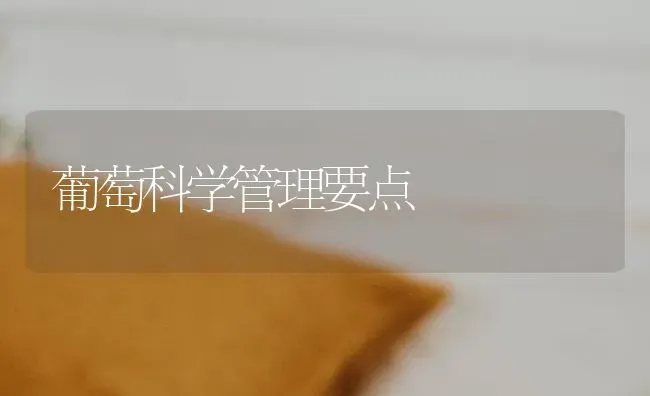 葡萄科学管理要点 | 瓜果种植