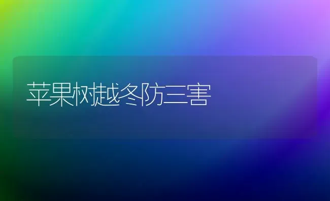 苹果树越冬防三害 | 瓜果种植
