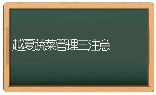 越夏蔬菜管理三注意 | 蔬菜种植