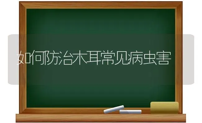 如何防治木耳常见病虫害 | 食用菌种植