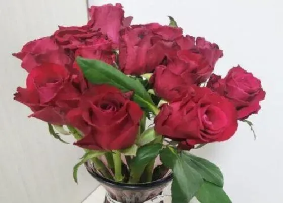花卉百科|玫瑰花怎么做干花花束不变色 干玫瑰制作方法