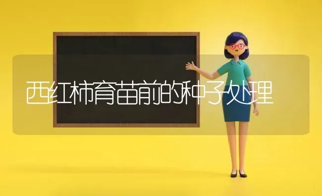西红柿育苗前的种子处理 | 蔬菜种植