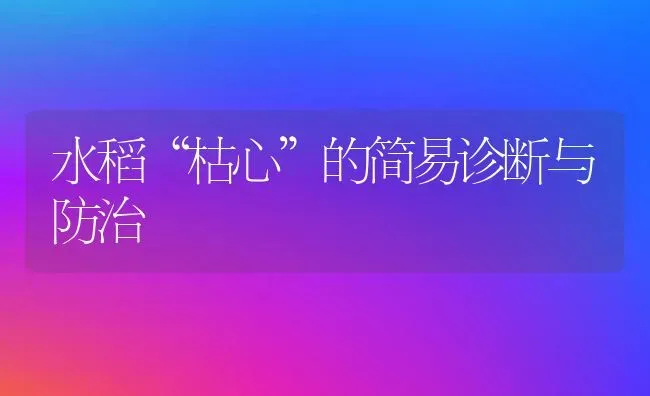 水稻“枯心”的简易诊断与防治 | 粮油作物种植