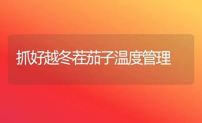 抓好越冬茬茄子温度管理 | 蔬菜种植