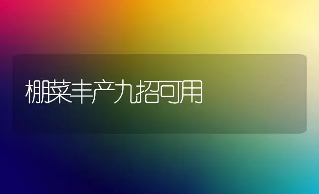 棚菜丰产九招可用 | 蔬菜种植