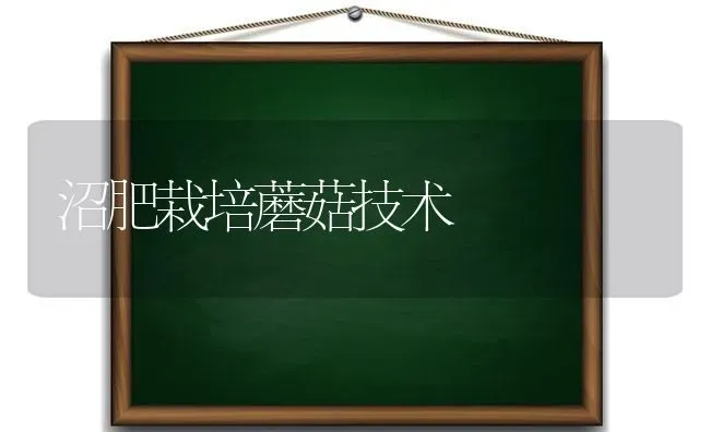 沼肥栽培蘑菇技术 | 食用菌种植