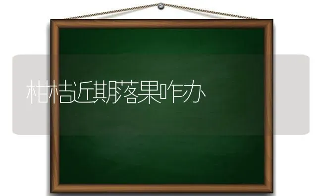 柑桔近期落果咋办 | 瓜果种植